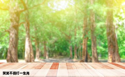 哭笑不得打一生肖