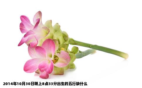 2014年10月30日晚上8点33分出生的五行缺什么