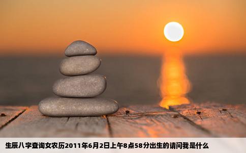 生辰八字查询女农历2011年6月2日上午8点58分出生的请问我是什么