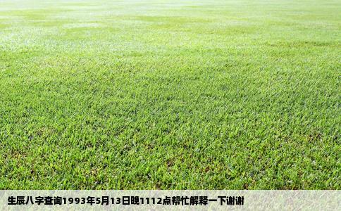 生辰八字查询1993年5月13日晚1112点帮忙解释一下谢谢