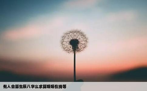有人会算生辰八字么求算婚姻在线等