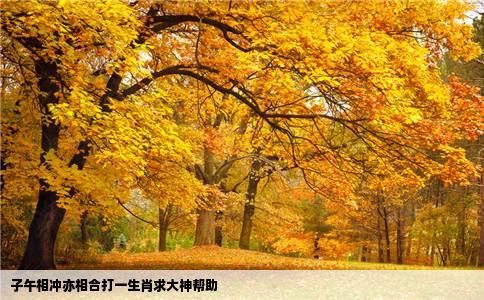 子午相冲亦相合打一生肖求大神帮助