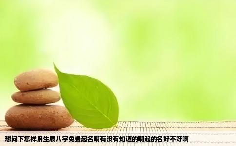 想问下怎样用生辰八字免费起名啊有没有知道的啊起的名好不好啊