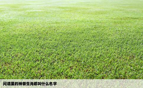 问道里的神兽生肖都叫什么名字