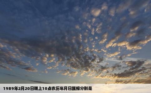 1989年2月20日晚上10点农历年月日属相分别是