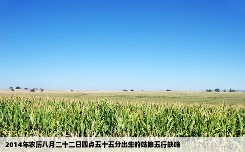 2014年农历八月二十二日四点五十五分出生的姑娘五行缺啥