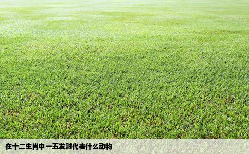 在十二生肖中一五发财代表什么动物