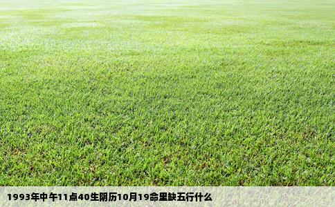 1993年中午11点40生阴历10月19命里缺五行什么