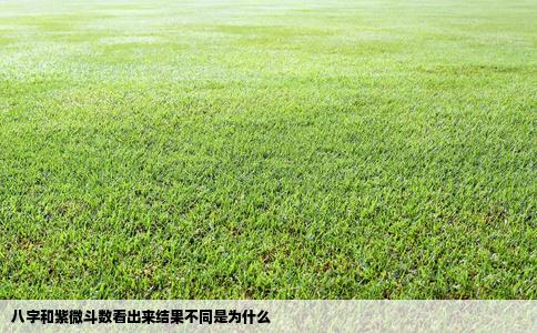 八字和紫微斗数看出来结果不同是为什么