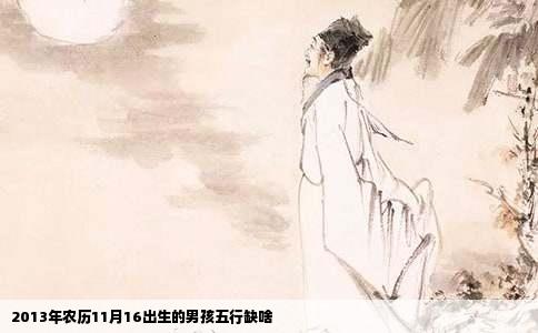 2013年农历11月16出生的男孩五行缺啥