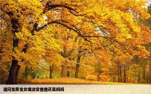 请问生男生女谁决定爸爸还是妈妈