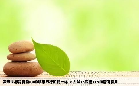 梦想世界我有条60的腰带五行和我一样16力量15敏捷715血请问能用