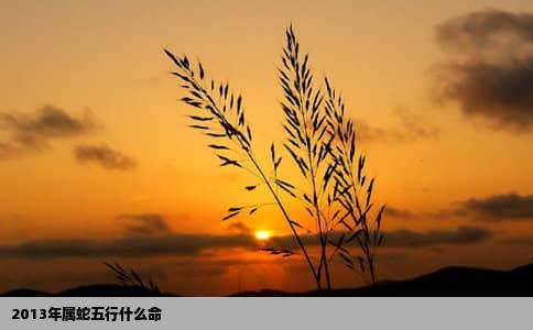2013年属蛇五行什么命
