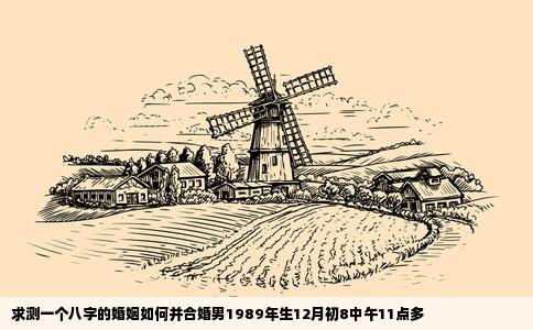 求测一个八字的婚姻如何并合婚男1989年生12月初8中午11点多