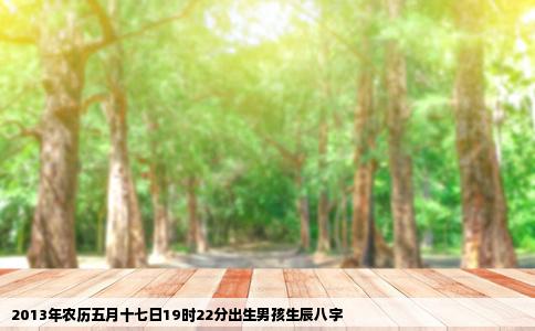 2013年农历五月十七日19时22分出生男孩生辰八字
