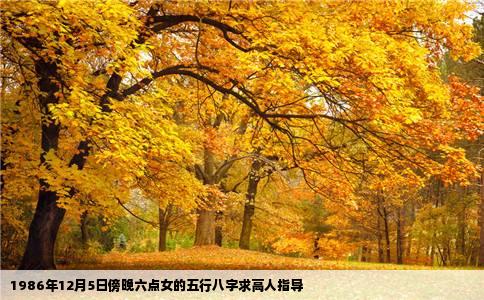 1986年12月5日傍晚六点女的五行八字求高人指导
