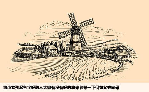 给小女孩起名字好愁人大家有没有好的拿来参考一下何如父姓申母
