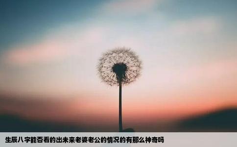 生辰八字能否看的出未来老婆老公的情况的有那么神奇吗