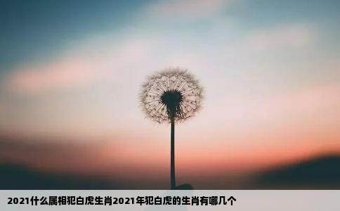 2021什么属相犯白虎生肖2021年犯白虎的生肖有哪几个