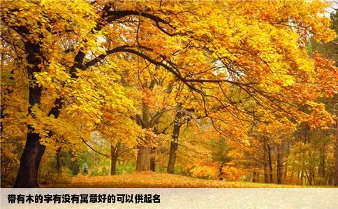 带有木的字有没有寓意好的可以供起名
