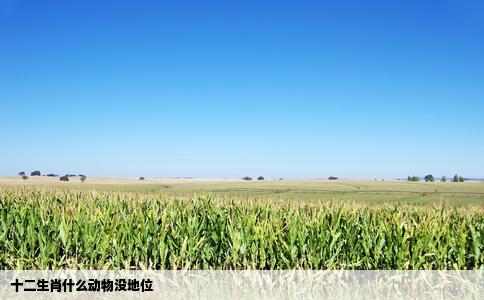 十二生肖什么动物没地位