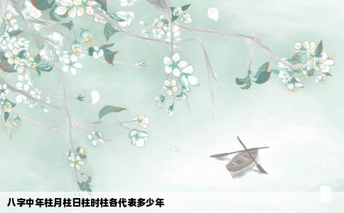 八字中年柱月柱日柱时柱各代表多少年