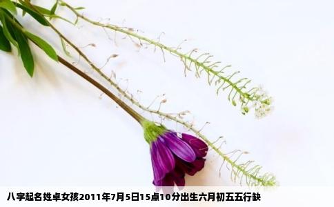 八字起名姓卓女孩2011年7月5日15点10分出生六月初五五行缺