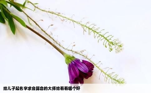 给儿子起名字求会算命的大师给看看哪个好