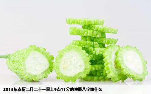 2015年农历二月二十一早上9点11分的生辰八字缺什么