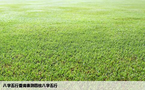 八字五行查询表测四柱八字五行