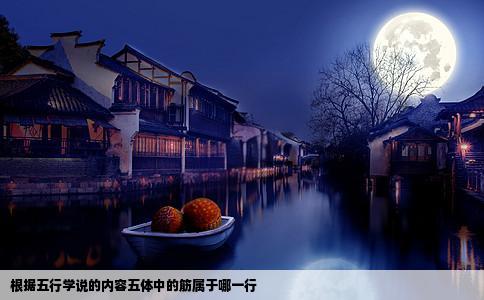 根据五行学说的内容五体中的筋属于哪一行