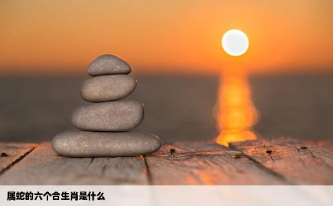 属蛇的六个合生肖是什么