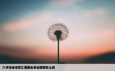 八字辛未辛卯乙酉葵未事业婚姻怎么样
