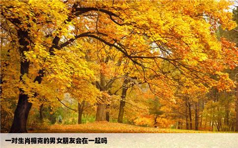 一对生肖相克的男女朋友会在一起吗