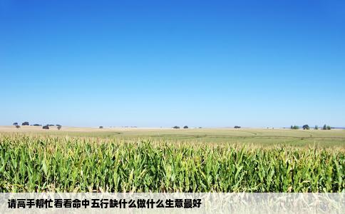 请高手帮忙看看命中五行缺什么做什么生意最好