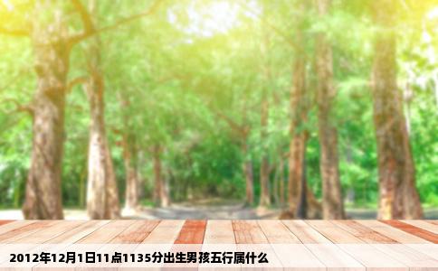 2012年12月1日11点1135分出生男孩五行属什么