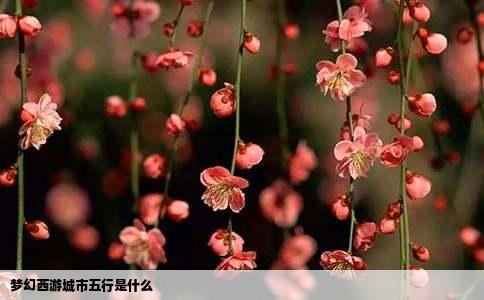 梦幻西游城市五行是什么