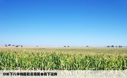 分析下八字格局和喜用简单看下运势