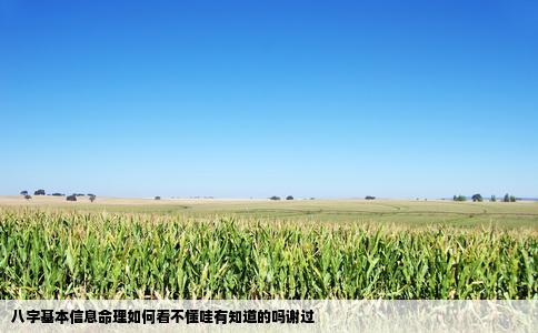八字基本信息命理如何看不懂哇有知道的吗谢过