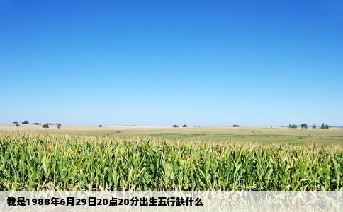 我是1988年6月29日20点20分出生五行缺什么