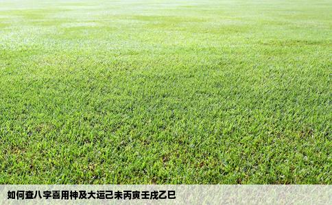 如何查八字喜用神及大运己未丙寅壬戌乙巳