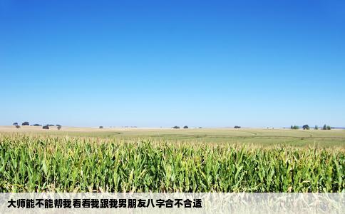 大师能不能帮我看看我跟我男朋友八字合不合适