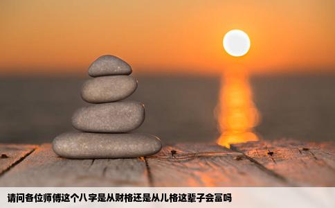 请问各位师傅这个八字是从财格还是从儿格这辈子会富吗