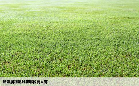 婚姻属相配对表哪位高人有