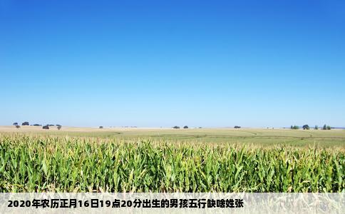 2020年农历正月16日19点20分出生的男孩五行缺啥姓张