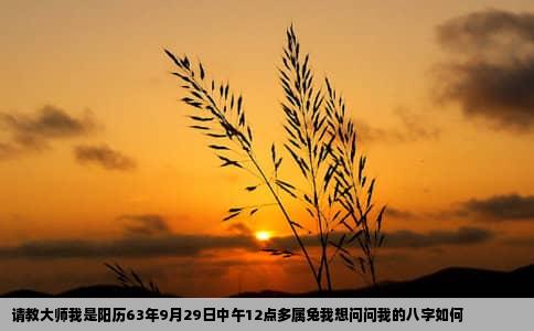 请教大师我是阳历63年9月29日中午12点多属兔我想问问我的八字如何