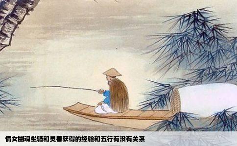 倩女幽魂坐骑和灵兽获得的经验和五行有没有关系