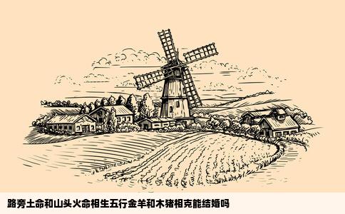 路旁土命和山头火命相生五行金羊和木猪相克能结婚吗