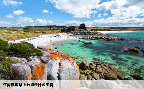 生肖属鸡早上五点是什么生肖