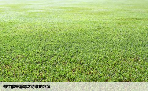 帮忙解答算命之诗歌的含义